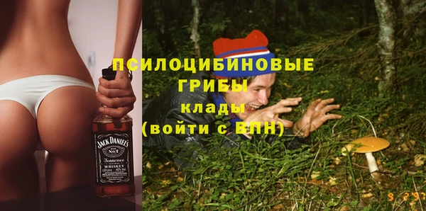 кокс Алексин