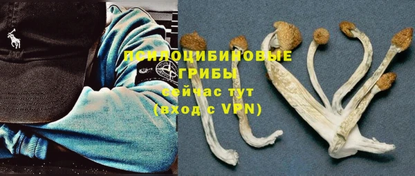прущая мука Арсеньев