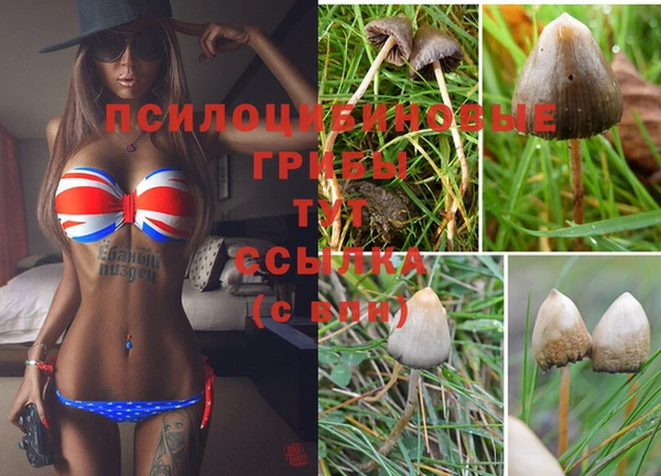 кокс Алексин