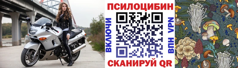 где найти наркотики  Чайковский  blacksprut   Галлюциногенные грибы Psilocybe 